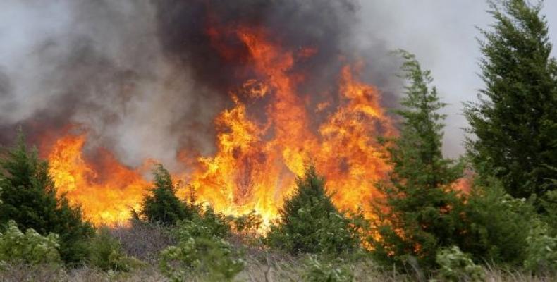 Controlan incendio forestal de grandes proporciones en el occidente de Cuba