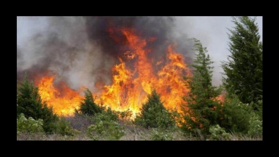 Controlan incendio forestal de grandes proporciones en el occidente de Cuba