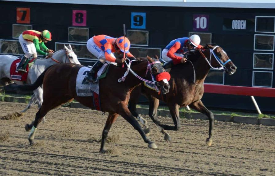 Se corre el Clásico Aniversario en el Hipódromo V Centenario