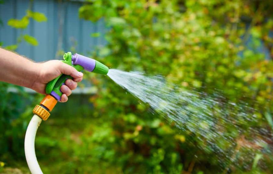 Consejos para ahorrar agua en el jardín