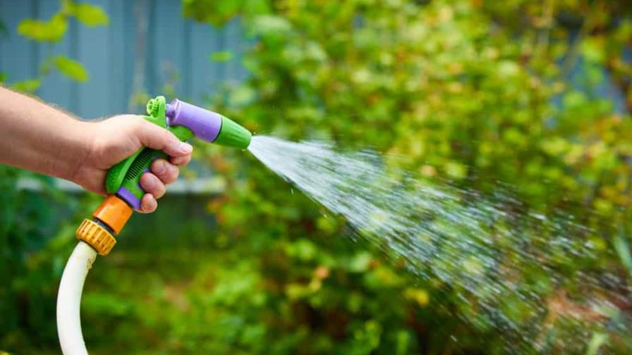 Consejos para ahorrar agua en el jardín