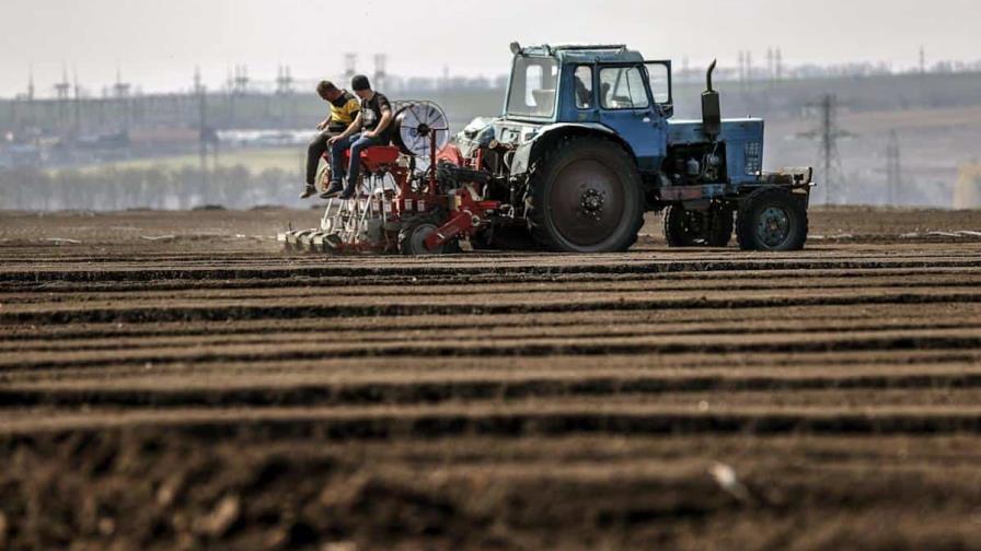 Ucrania acusa a Rusia de atacar instalación agrícola y querer un Holodomor