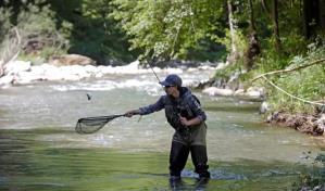 Declaran inconstitucional la pesca deportiva en Colombia