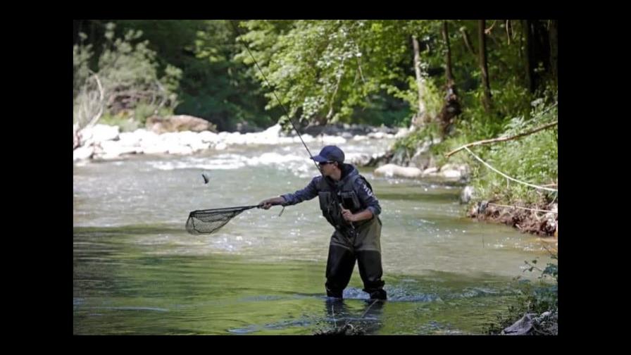 Declaran inconstitucional la pesca deportiva en Colombia