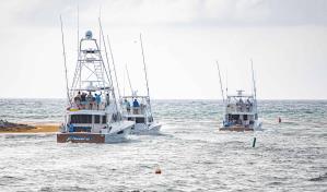 Comienza hoy  torneo internacional de Pesca al Marlin Blanco