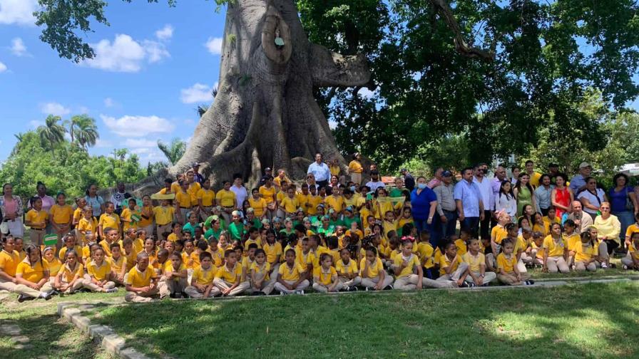Realizan homenaje al árbol más grande y antiguo de la isla