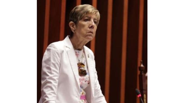 Senadores oficialistas piden a sus contrarios no politizar abuso de la Policía