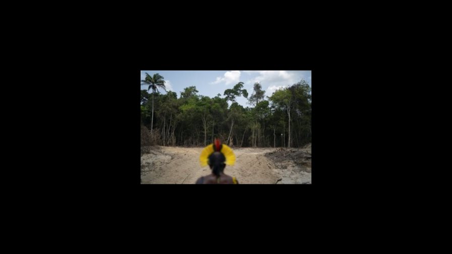 Deforestación en Amazonia brasileña rompe récords para abril