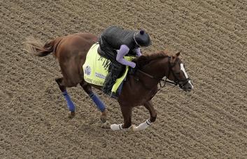 El hipismo en la mira, antes del Derby de Kentucky