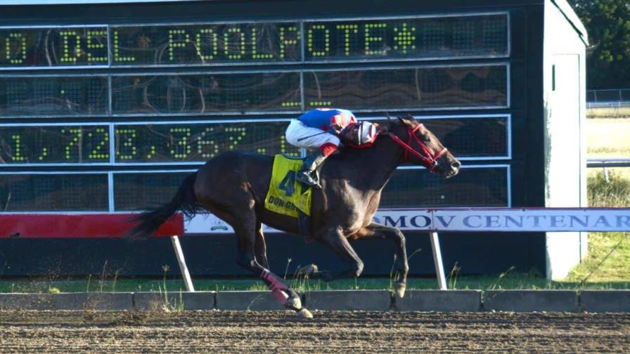 Poolpote del V Centenario llega a ocho millones para las carreras el sábado Poolpote del V Centenario llega a ocho millones para las carreras el sábado