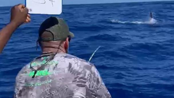 Equipo Los Modelos toma comando torneo pesca al Marlin Blanco