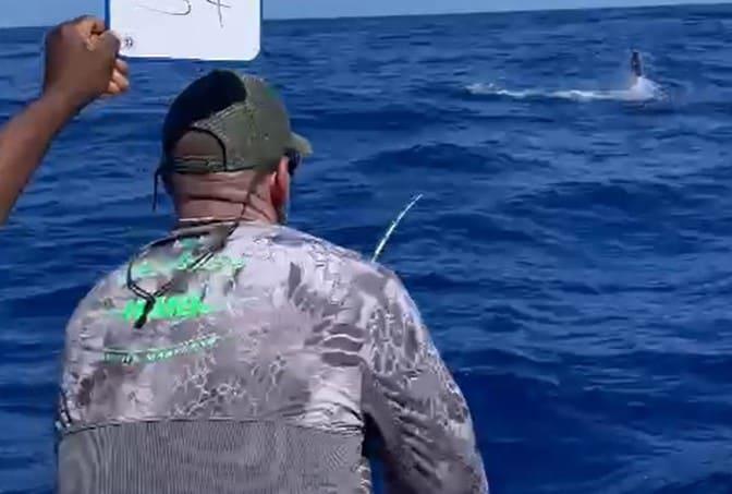 Equipo Los Modelos toma comando torneo pesca al Marlin Blanco