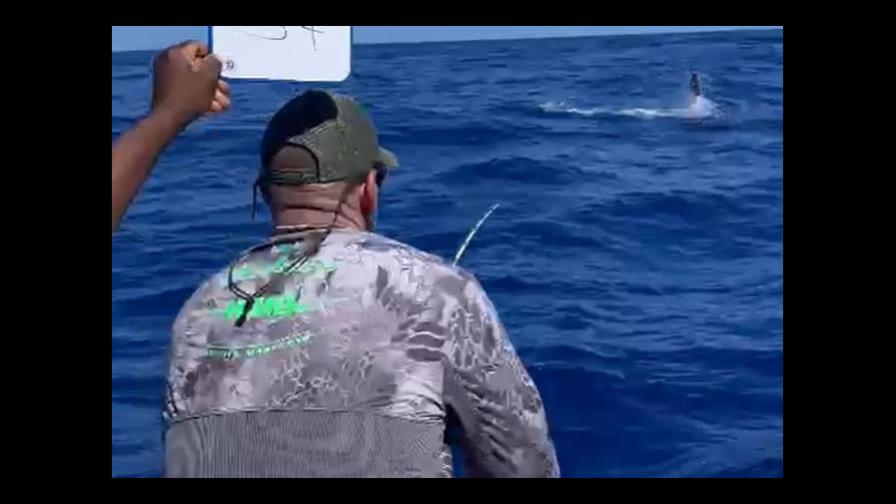 Equipo Los Modelos toma comando torneo pesca al Marlin Blanco Equipo Los Modelos toma comando torneo pesca al Marlin Blanco