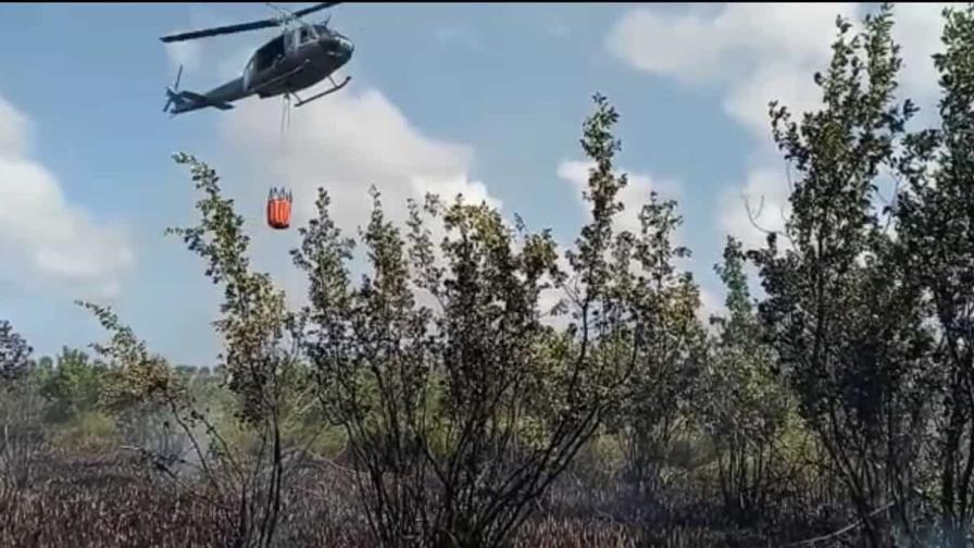 Investigan causas del incendio de Laguna Bávaro 