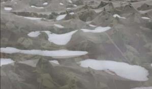 Realizan levantamiento de daños ocasionados por granizada en Bonao