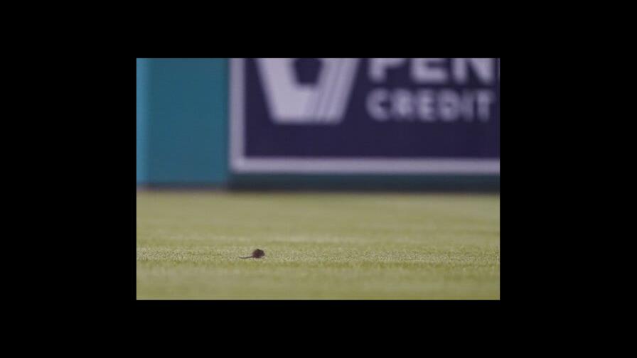 Los Mets vencen a Nacionales; rata aparece en Washington