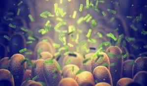 ¿Cuándo debo usar un probiótico?