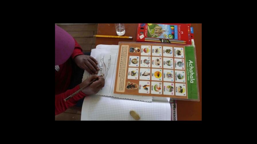 Google incluye quechua, guaraní y aimara en su traductor