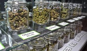 Miami permitir&aacute; abrir su primer dispensario de marihuana medicinal