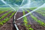 Solo el 10% de los terrenos cultivados en RD cuentan con riego tecnificado