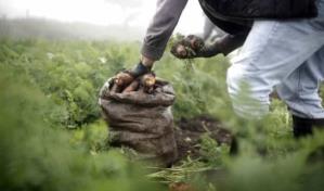 Partidos opositores afirman Gobierno ha abandonado al agricultor