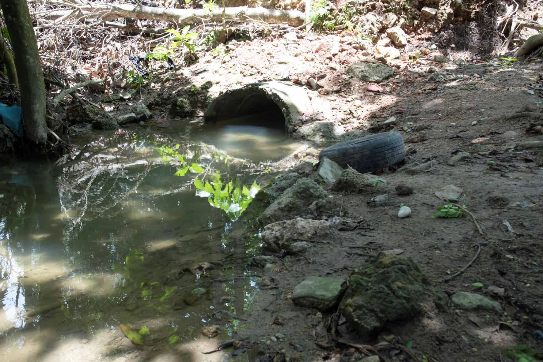 Un riachuelo, afluente del Isabela, nace en ese lugar.