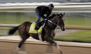 Epicenter es favorito para la carrera Preakness Stakes