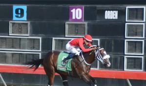 El Hip&oacute;dromo V Centenario tiene un poolpote de RD$8.5 millones para este martes