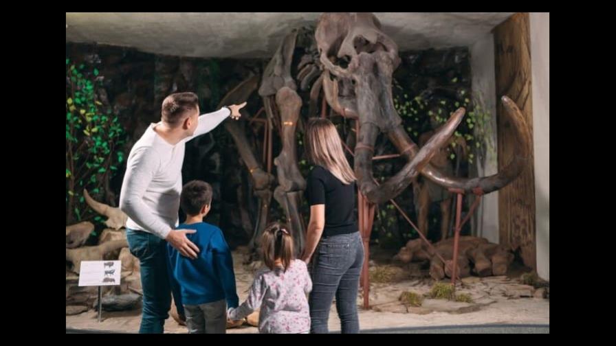 Día Mundial del Museo: cinco consejos para visitar museos con niños Día Mundial del Museo: cinco consejos para visitar museos con niños