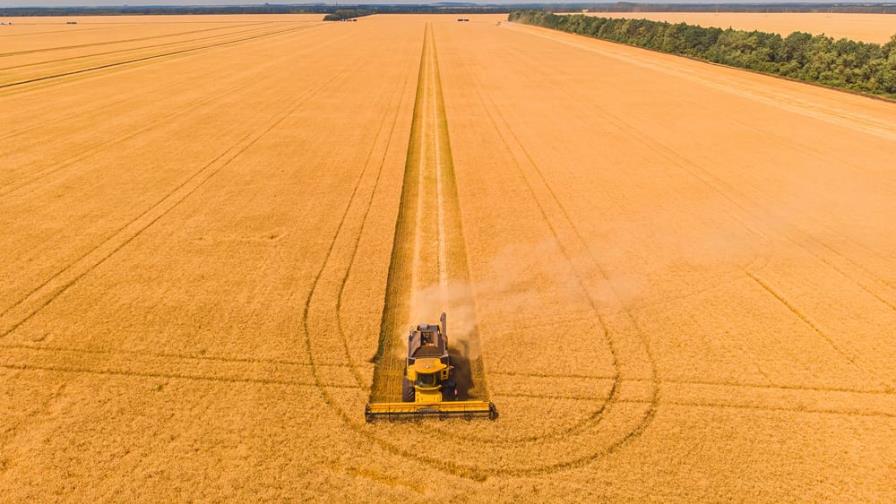 Johnson y Zelenski estudian rutas para dar salida a los cereales ucranianos