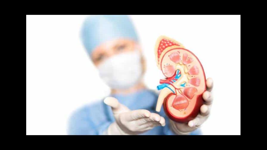 Pacientes hipertensos tienden a sufrir de daño renal severo Pacientes hipertensos tienden a sufrir de daño renal severo