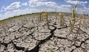 La COP15 se compromete a restaurar mil millones de hectáreas degradadas