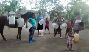 Residentes en Hato Mayor deben buscar agua cargando cubetas en la cabeza