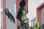 Video | Agentes de Migración entran en apartamentos de Ciudad Juan Bosch