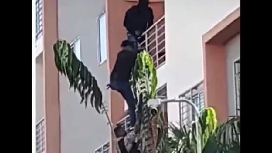 Video | Agentes de Migración entran en apartamentos de Ciudad Juan Bosch