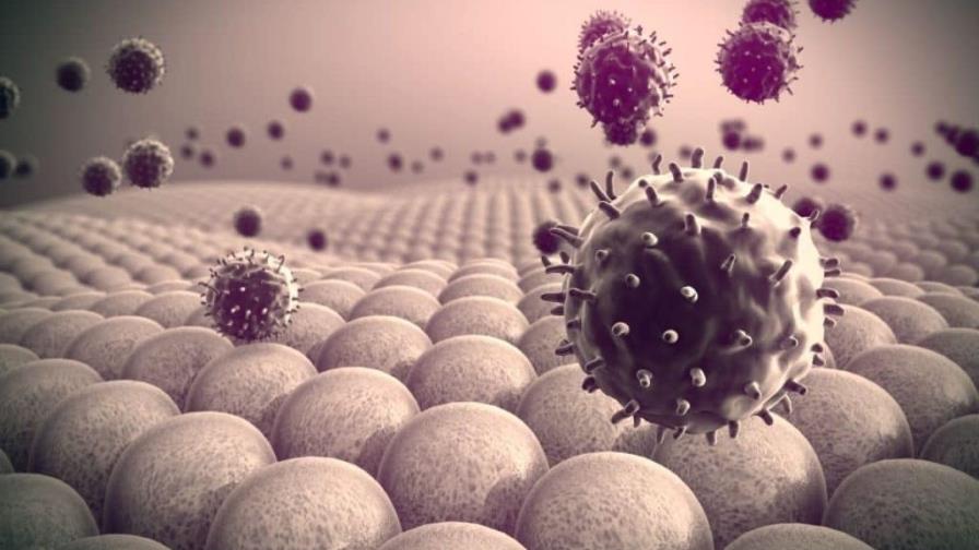 California investiga primer posible caso de viruela del mono en el estado California investiga primer posible caso de viruela del mono en el estado