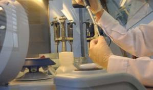 Una empresa española diseña un kit de qPCR para detectar la viruela del mono