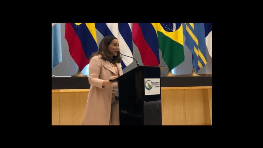 Ministra de la Mujer RD participa en Asamblea de Delegadas en Panamá