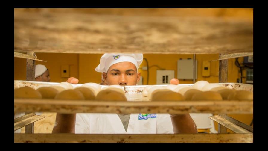 Industria molinera dominicana genera más de 20,000 empleos Industria molinera dominicana genera más de 20,000 empleos