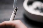 El impacto del tabaco en el medio ambiente es devastador, advierte la OMS El impacto del tabaco en el medio ambiente es devastador, advierte la OMS