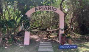 Iberostar inaugura un apiario visitable en el Complejo Iberostar B&aacute;varo.