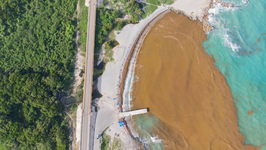 Registran un nuevo récord histórico de sargazo en el Mar Caribe y el Golfo de México