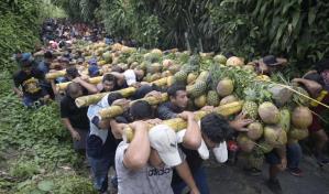 Salvadoreños celebran cosecha de frutas y rinden tributo a la Cruz