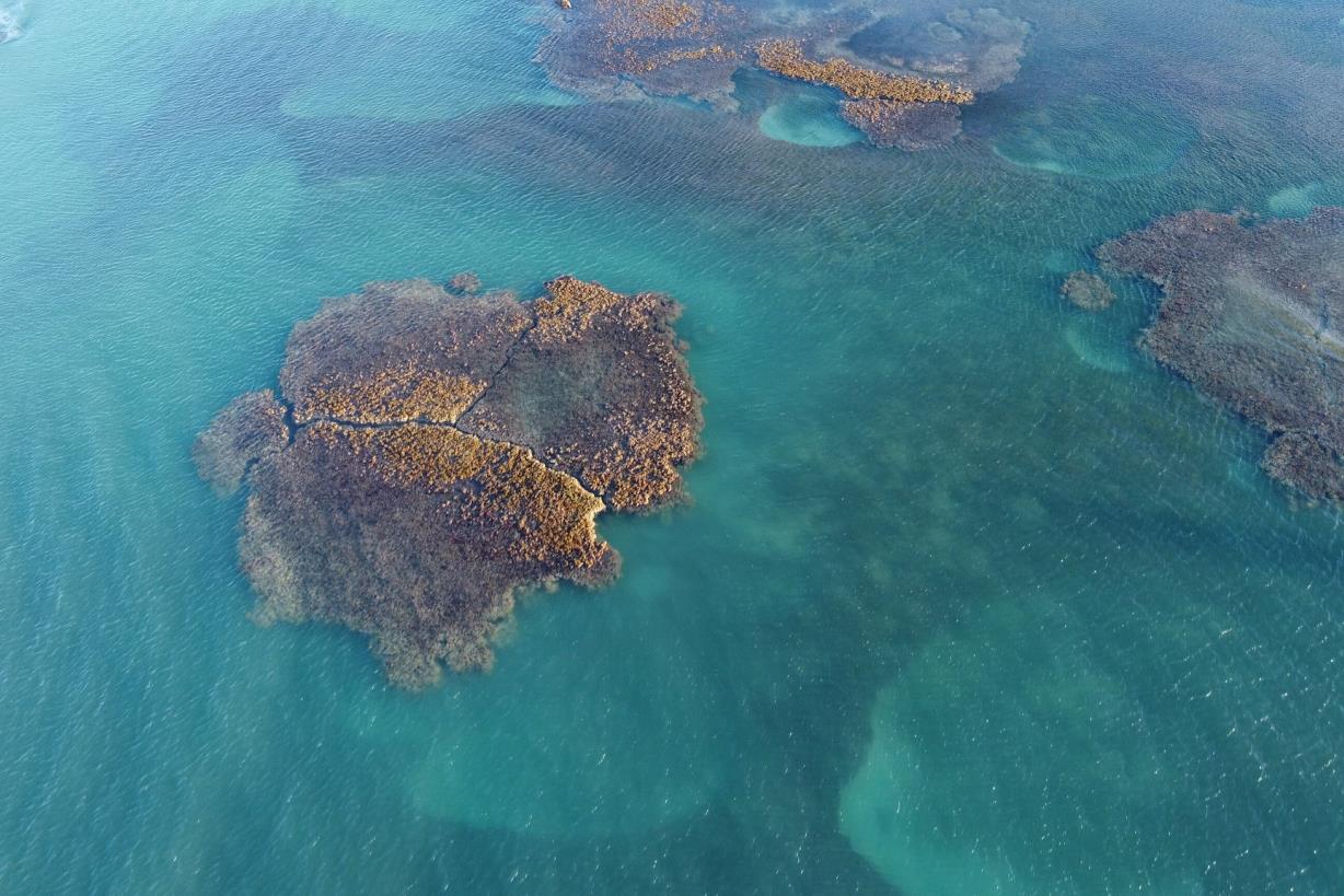 El índice de rendimiento medioambiental 2022 y República Dominicana El índice de rendimiento medioambiental 2022 y República Dominicana