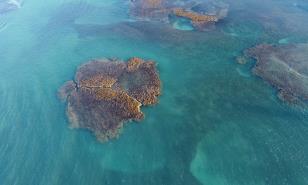 El índice de rendimiento medioambiental 2022 y República Dominicana