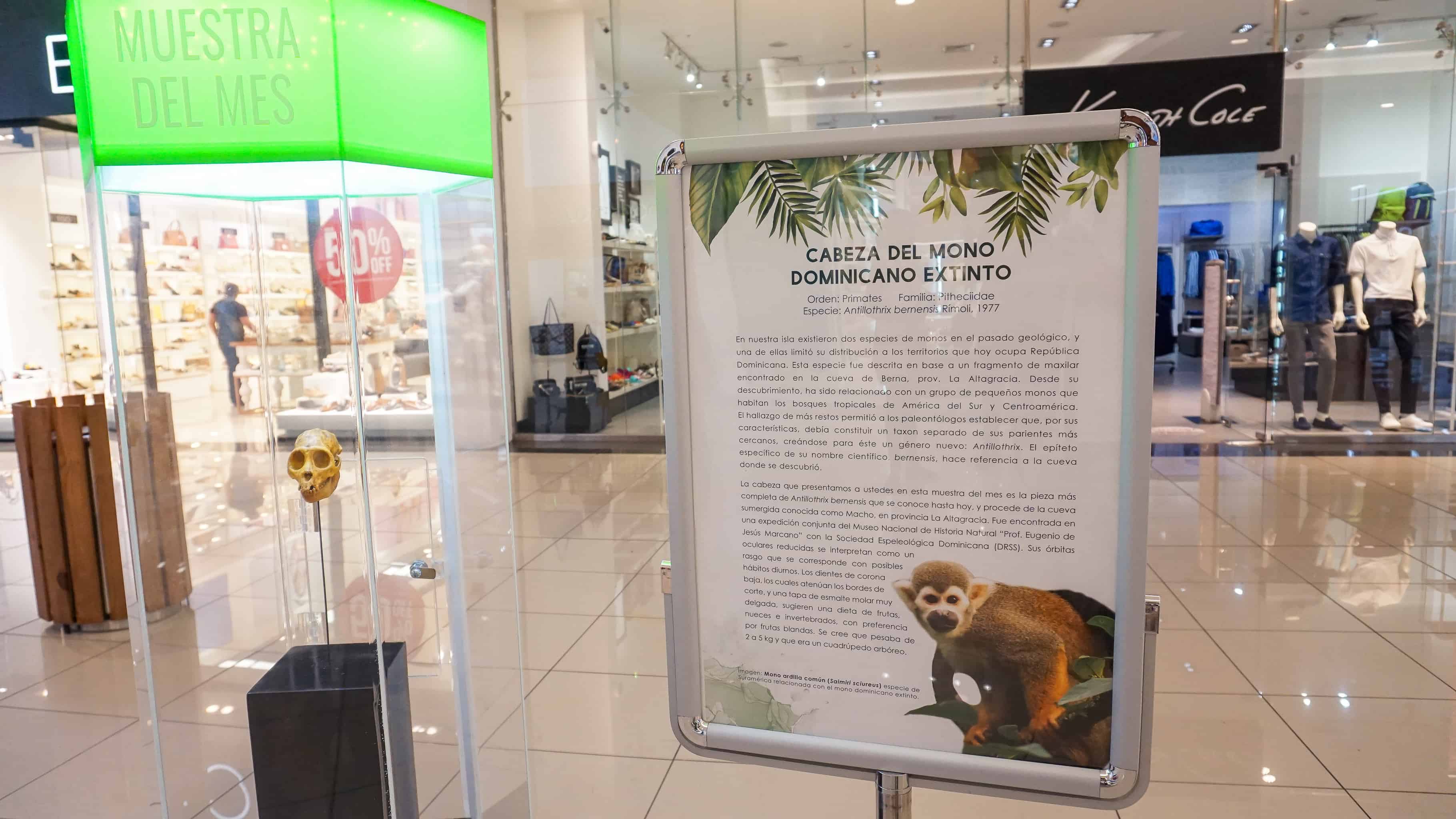 La exposición estará abierta durante un mes.