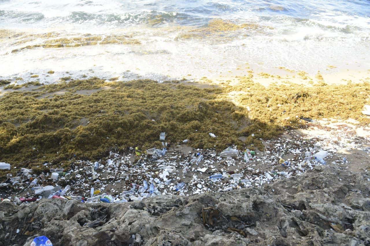 El sargazo y los residuos sólidos en la playa de Güibia este sábado 4 de junio de 2022.