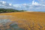 República Dominicana ocupa el lugar 89 de 180 países en ranking de desempeño ambiental República Dominicana ocupa el lugar 89 de 180 países en ranking de desempeño ambiental