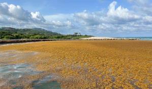 República Dominicana ocupa el lugar 89 de 180 países en ranking de desempeño ambiental