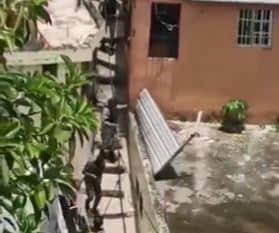 Hombre ultimado en La Puya pertenec&iacute;a a una banda y se le conoc&iacute;a como Nanito